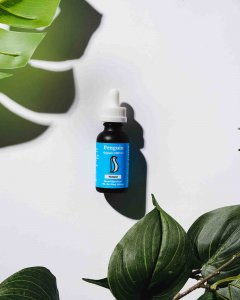 Penguin CBD Oil 1000mg