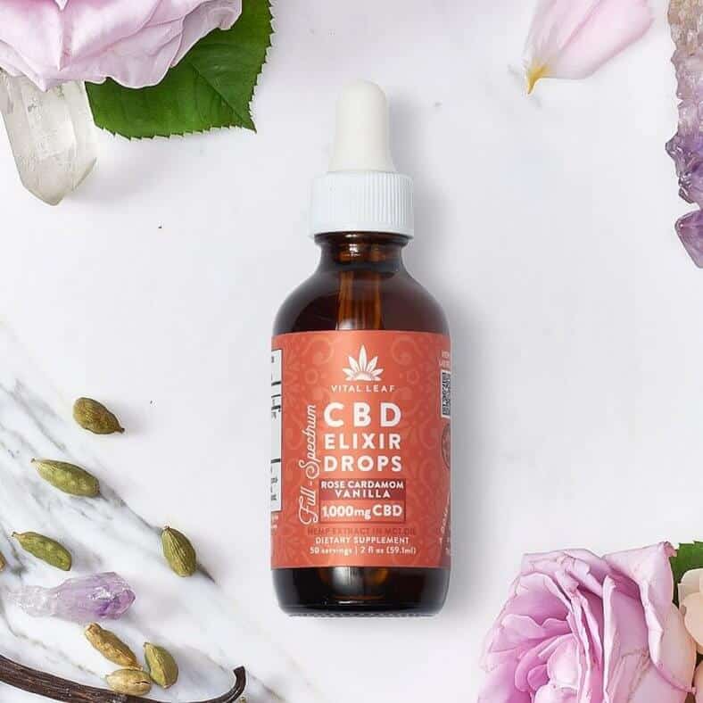 Is Vital Leaf CBD Legit? – A Real Tested CBD Brand Spotlight