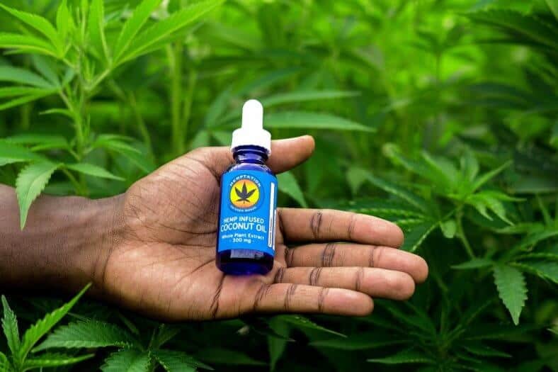 Is ‘Hemptation USA’ Legit? – A Real Tested CBD Brand Spotlight Review