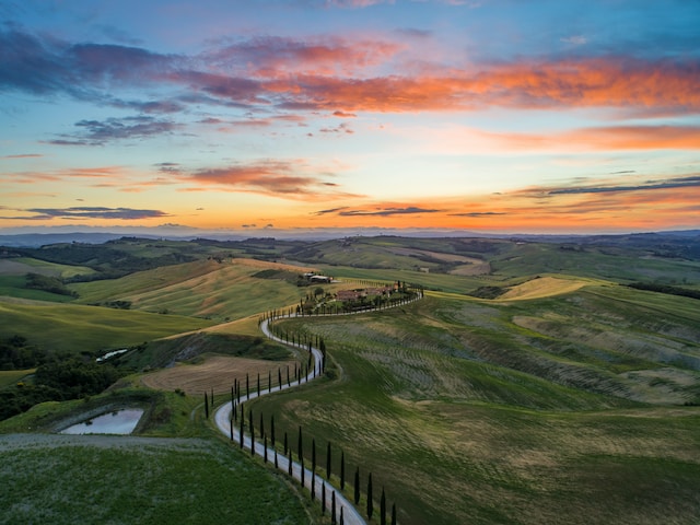 Italy’s New CBD Celebrity — What We Know About CBDP